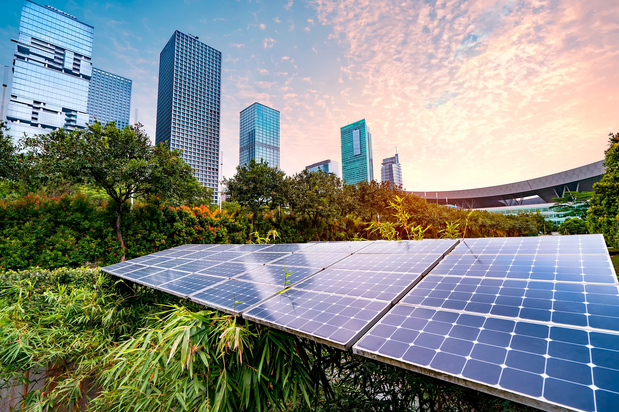 Schlau Energy's Approach
