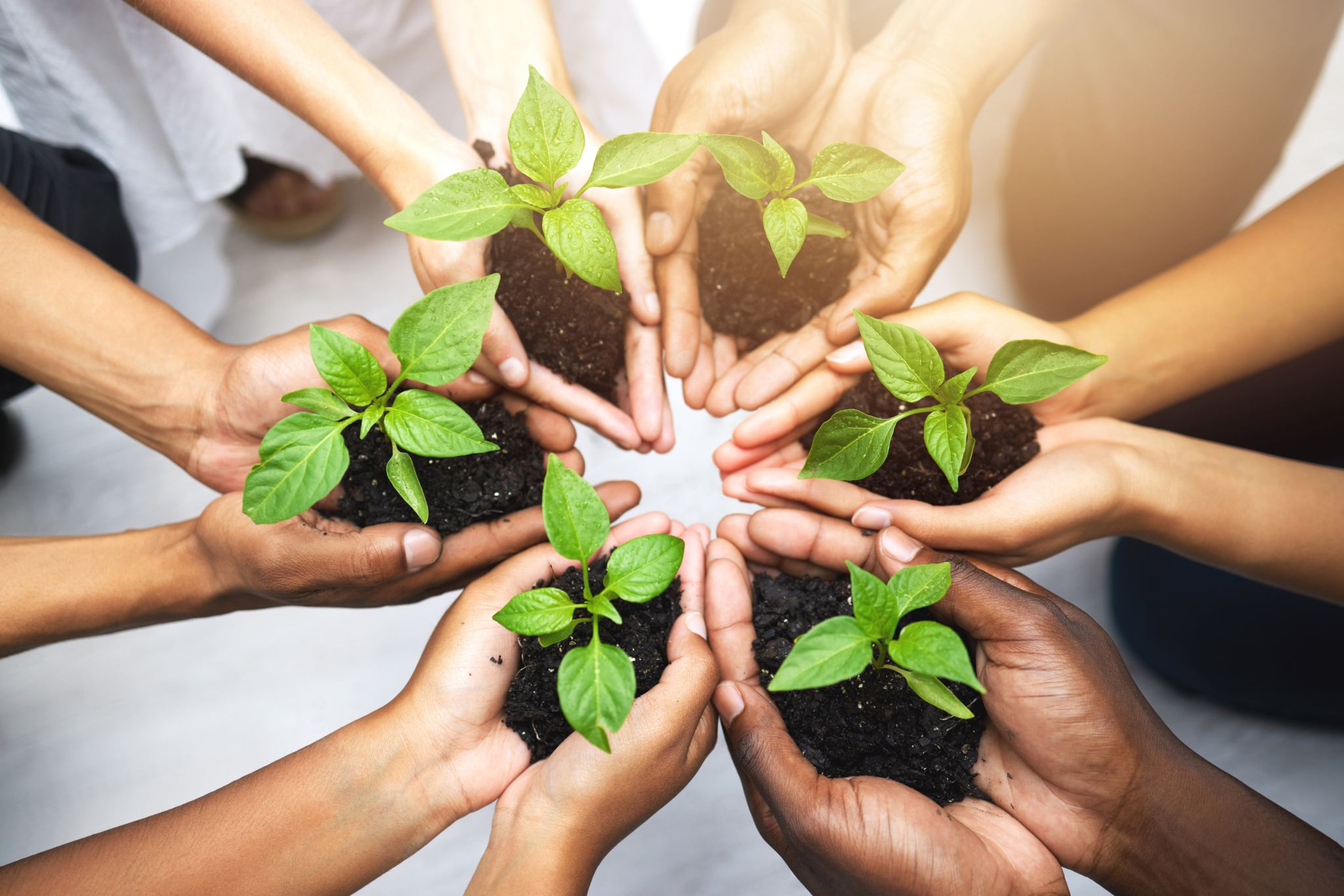Sustainability