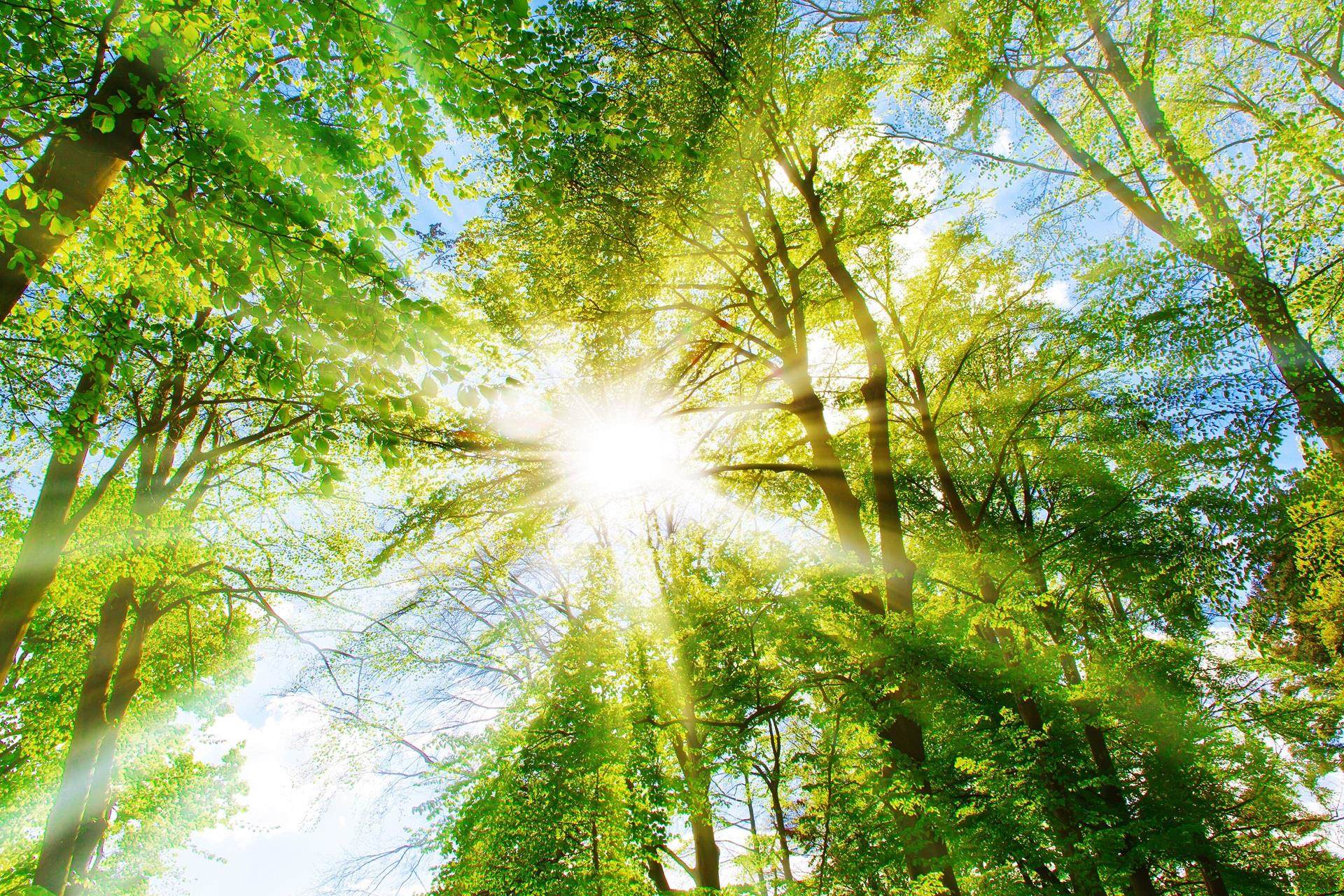 We are built on Commitment to sustainability