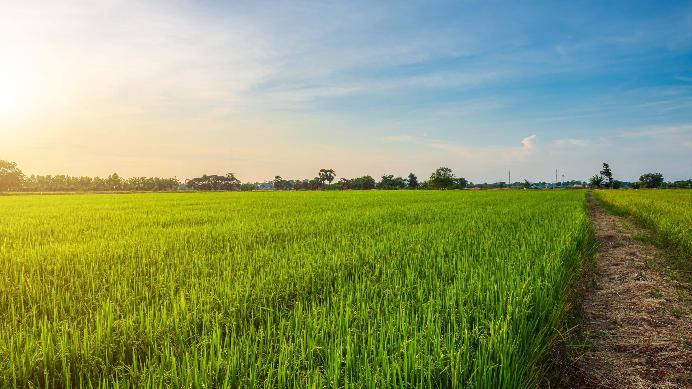 We are built on Access to acreages in the prolific Gulf of Guinea